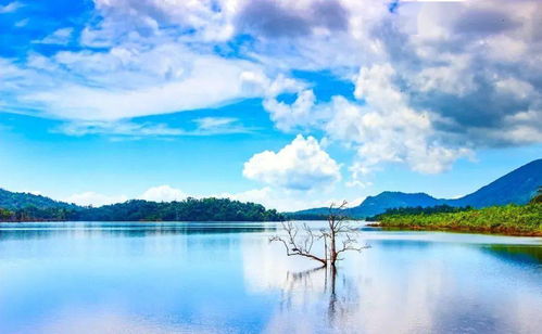 老子 復(fù)歸正道,萬事方清,事事方順