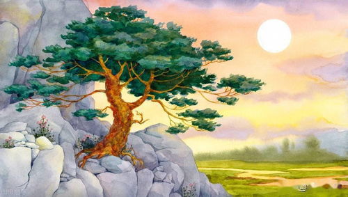 靜待空山云出岫